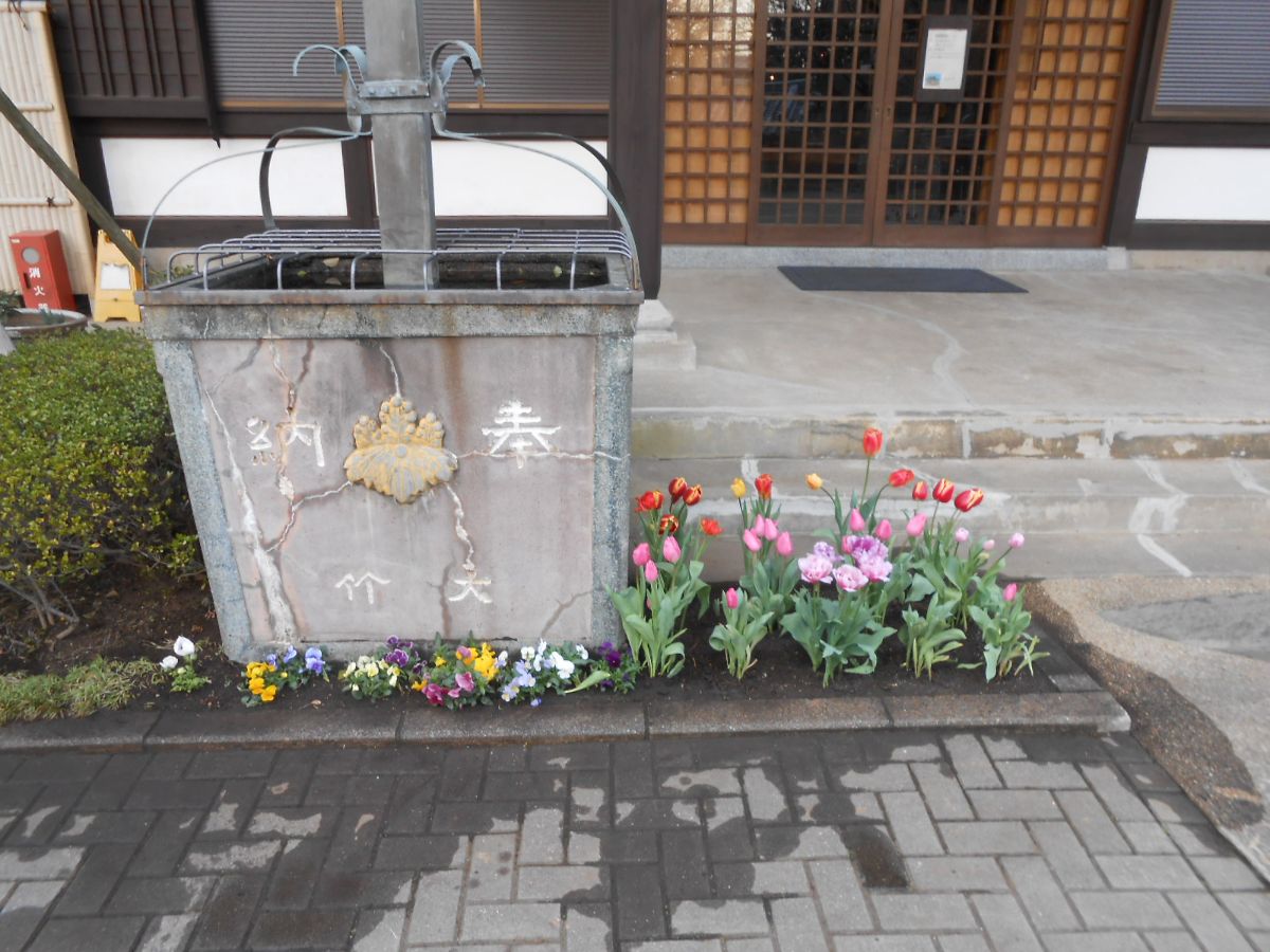 Ｋ寺様　お花の植え付け作業致しました　♪